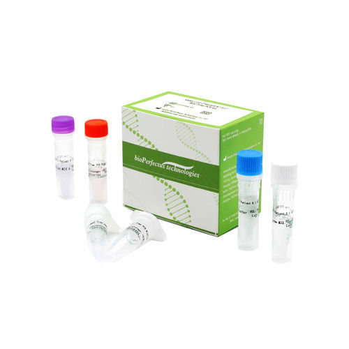 Kit de teste de SARS-COV-2 - Jiangsu Bioperfectus Technologies Co., Ltd. - para pesquisa / de COVID-19 / nasofaríngeo