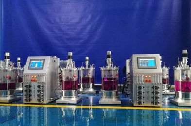 Biorreator de batelada - 135 - KNIK CO.,LTD. - contínuo / de laboratório / para cultura celular