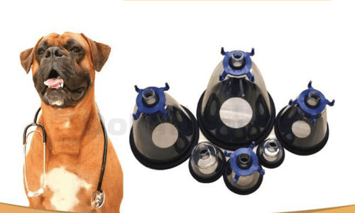 Máscara veterinária de anestesia - Shandong Dolphinmed Technology - para roedores / para felinos / para cães