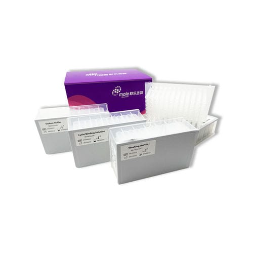 Kit de reagentes de soro - P084T00101 - Jiangsu Mole Bioscience - de plasma / tampão de lavagem / de esferas magnéticas