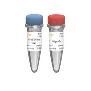 Reagente DNA ligase - 10300ES series - Yeasen Biotechnology (Shanghai) Co., Ltd - para pesquisa / de ATP