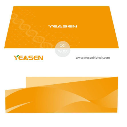 Reagente em solução - Hieff Trans™ - Yeasen Biotechnology (Shanghai) Co., Ltd - de transfecção de DNA / para vírus
