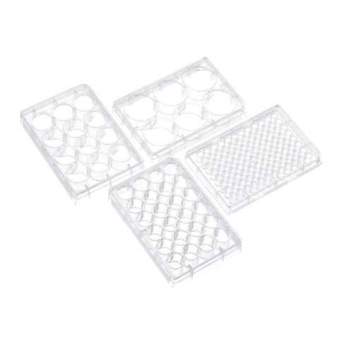 Microplaca para laboratório - CELL-B6-P - Haier Biomedical - para cultura de células / com 96 poços / com 24 poços