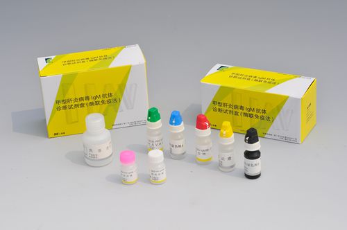 Teste rápido da hepatite A - Shanghai Rongsheng Biotech Co., Ltd. - de imunoglobulinas M / ELISA