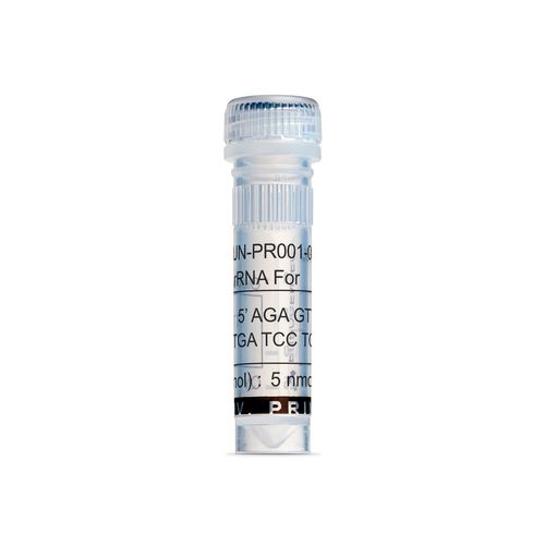 Reagente meio reacional - UN-PR001-005 - Eurogentec - para pesquisa / de bactérias