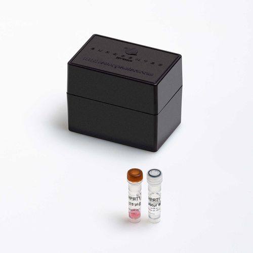 Kit de reagentes com enzimas - Yakima Yellow® - EDQ® - Eurogentec - de diagnóstico / clínico / para pesquisa