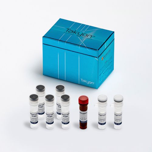 Kit de reagentes em solução - Takyon® - Eurogentec - DNA polimerase / para pesquisa / para RT-qPCR