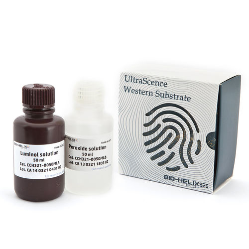 Reagente em solução - UltraScence Pico Plus - Bio-Helix - anticorpos / antígeno / para western blot