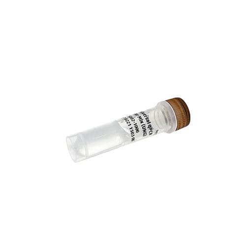 Reagente com enzimas - PanGreen™ - Bio-Helix - DNA polimerase / corante / para PCR em tempo real