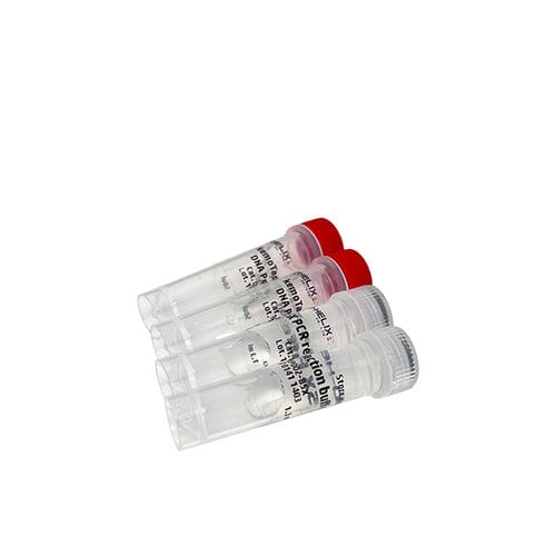 Reagente com enzimas - kemoTaq™ - Bio-Helix - DNA polimerase / corante / de partida a quente