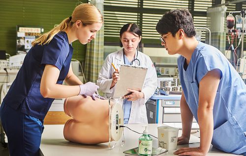 Manequim de treinamento para cuidados gerais de saúde - BT-CSIM-T - BT Inc. - para injeções intramusculares / de adulto / de nádega