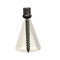 Parafuso pedicular para vértebra torácica - ISpine PLS-Ⅱ - Zhejiang Jiayou Medical Device - poliaxial / metálico
