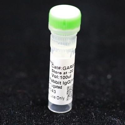 Reagente anticorpo monoclonal - BAB1727 - MULTI SCIENCES(LIANKE) BIOTECH, CO.,LTD. - conservante / para pesquisa / para laboratório veterinário