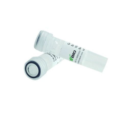 Reagente tampão de carregamento - 2×Super Pfx - Jiangsu CoWin Biotech Co.,Ltd - com enzimas / DNA polimerase / para PCR