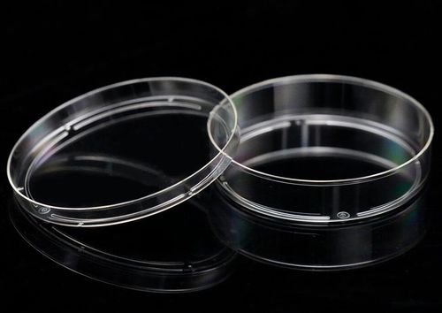 Placa de Pétri - MGN-C08 - MyGenostics Inc.