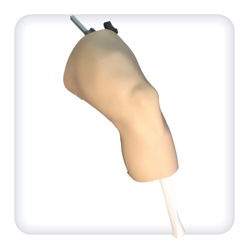 Simulador de artroscopia - M1127 - SATC solution - cirúrgico / de anatomia / de joelho
