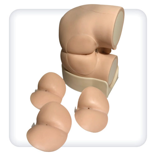 Simulador de palpação da próstata - M1144 - SATC solution - de palpação retal / para procedimentos de urologia / masculino