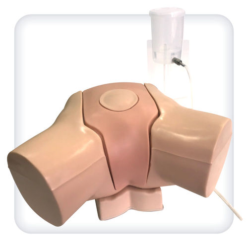 Simulador de punção - M1141 - SATC solution - de cateterismo urinário / para procedimentos de urologia / de torso