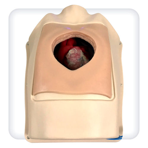 Simulador para treinamento - M1143 - SATC solution - de frequência cardíaca / para cirurgia cardíaca / de anastomose