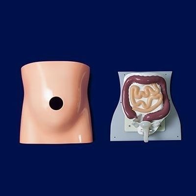 Simulador para treinamento - PL001 - Trando 3D Medical Technology - de laparoscopia / de cirurgia / de vagina