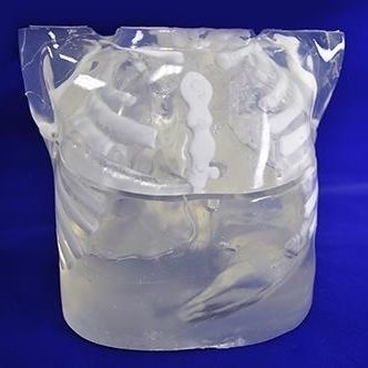 Fantoma para radiografia - XCP001 - Trando 3D Medical Technology - de torso / de coluna vertebral