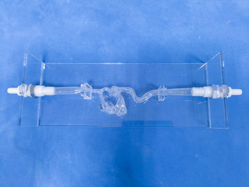 Modelo vascular de vasos sanguíneos - SDL004 - Trando 3D Medical Technology - cerebral / intracraniano / para cirurgia vascular