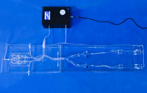 Modelo anatômico para neurologia - FA003D - Trando 3D Medical Technology - de artéria femoral / para cirurgia minimamente invasiva / para treinamento