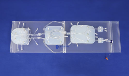 Simulador para terapia endovascular - SJ001D-010 - Trando 3D Medical Technology - para treinamento / para intervenção neurovascular / para cirurgia vascular