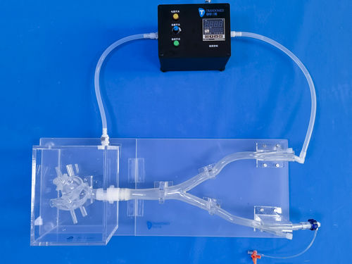Simulador para treinamento - XX013D - Trando 3D Medical Technology - para sutura de feridas / para cirurgia vascular
