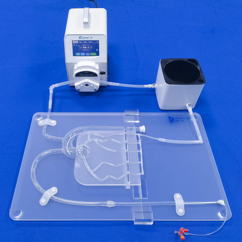 Modelo anatômico das artérias coronárias - XXD007 - Trando 3D Medical Technology - para treinamento / transparente / flexível