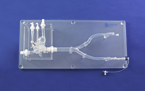 Modelo anatômico cardíaco - XX013D-1 - Trando 3D Medical Technology - para cirurgia minimamente invasiva / para treinamento / transparente