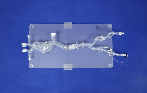 Modelo vascular de vasos sanguíneos - XXD019 - Trando 3D Medical Technology - de artéria / para cirurgia minimamente invasiva / para treinamento