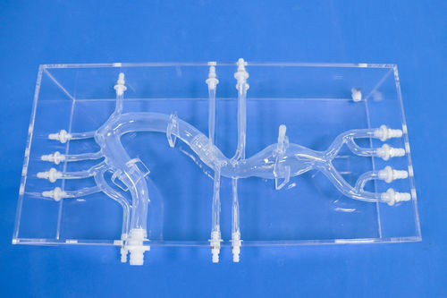 Modelo de artéria - XXK002D - Trando 3D Medical Technology - de artéria femoral / abdominal / para treinamento
