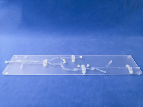 Modelo de membro inferior - XZ005D - Trando 3D Medical Technology - para cirurgia minimamente invasiva / para treinamento / transparente