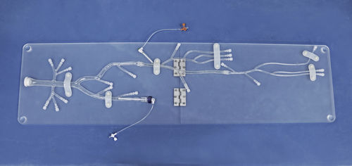 Modelo de membro inferior - XXD007 - Trando 3D Medical Technology - para cirurgia minimamente invasiva / para treinamento / transparente