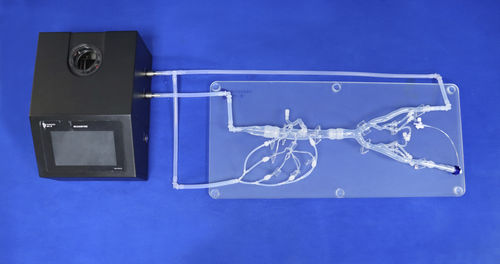 Modelo de artéria - FBD017 - Trando 3D Medical Technology - abdominal / para cirurgia minimamente invasiva / para treinamento