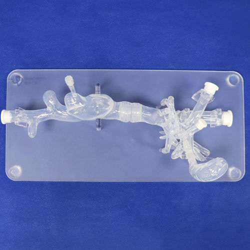 Modelo anatômico abdominal - FBD022 - Trando 3D Medical Technology - para cirurgia minimamente invasiva / para treinamento / transparente