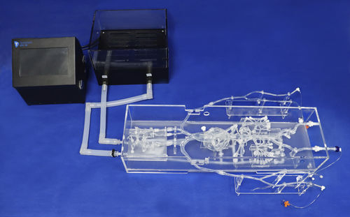 Modelo anatômico intracraniano - FA006D - Trando 3D Medical Technology - de coração / abdominal / para cirurgia minimamente invasiva