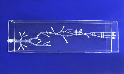 Modelo de artéria - XZK003D - Trando 3D Medical Technology - de artéria femoral / de membro inferior / para cirurgia minimamente invasiva