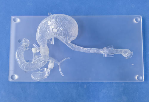 Simulador para ERCP - XHG-11-02 - Trando 3D Medical Technology - de cirurgia / de cabeça