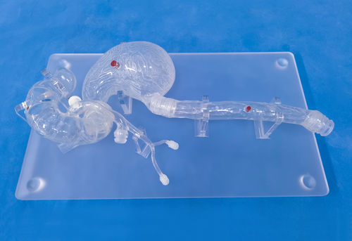 Modelo de cabeça - XHG-11-7 - Trando 3D Medical Technology - de estômago / de esófago / de duodeno