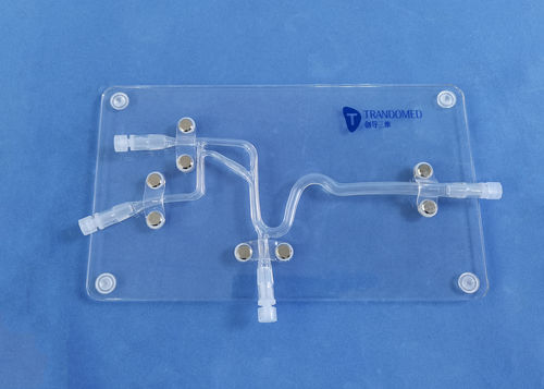 Modelo vascular de vasos sanguíneos - SJJ007D - Trando 3D Medical Technology - cerebral / intracraniano / para neurocirurgia