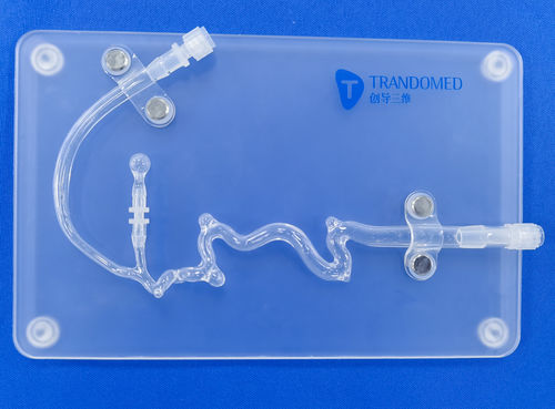 Modelo vascular de vasos sanguíneos - SJX011 - Trando 3D Medical Technology - intracraniano / para neurocirurgia / para treinamento