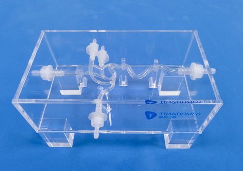 Modelo vascular de vasos sanguíneos - SDL006 - Trando 3D Medical Technology - cerebral / intracraniano / para cirurgia vascular