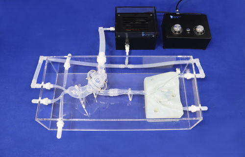 Modelo anatômico cardíaco - XXD012 - Trando 3D Medical Technology - de válvula aórtica / para cirurgia minimamente invasiva / para treinamento