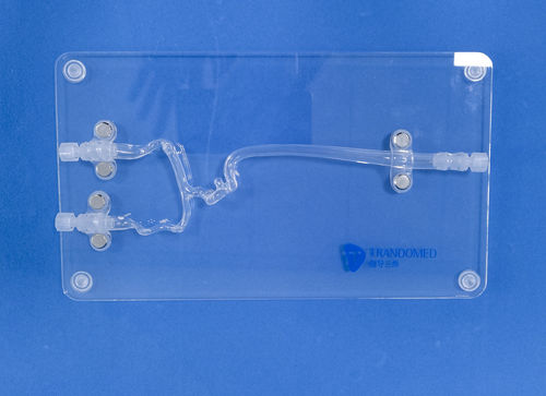 Modelo vascular de vasos sanguíneos - JYX001-3 - Trando 3D Medical Technology - cerebral / intracraniano / para neurocirurgia