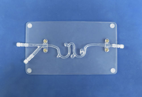 Modelo vascular de vasos sanguíneos - SJJ003D-01 - Trando 3D Medical Technology - intracraniano / para neurocirurgia / para treinamento