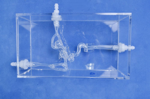 Modelo vascular de vasos sanguíneos - SJX008 - Trando 3D Medical Technology - cerebral / intracraniano / para cirurgia vascular
