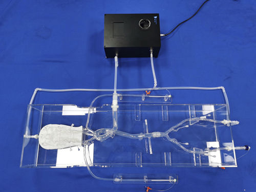 Modelo vascular para neurologia - SJX013 - Trando 3D Medical Technology - intracraniano / de vasos sanguíneos / para cirurgia minimamente invasiva