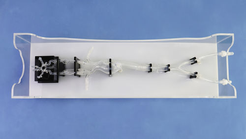Modelo vascular para neurologia - SJX014 - Trando 3D Medical Technology - intracraniano / de vasos sanguíneos / de artéria femoral